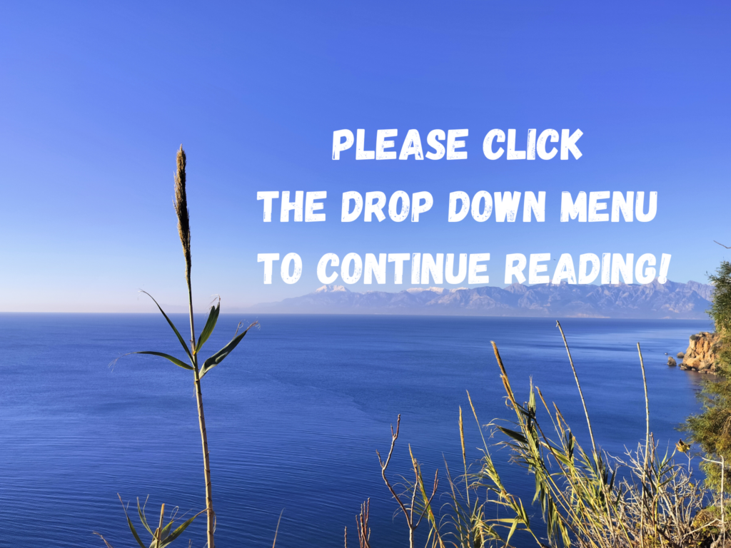 Please select the dropdown menu to continue reading!